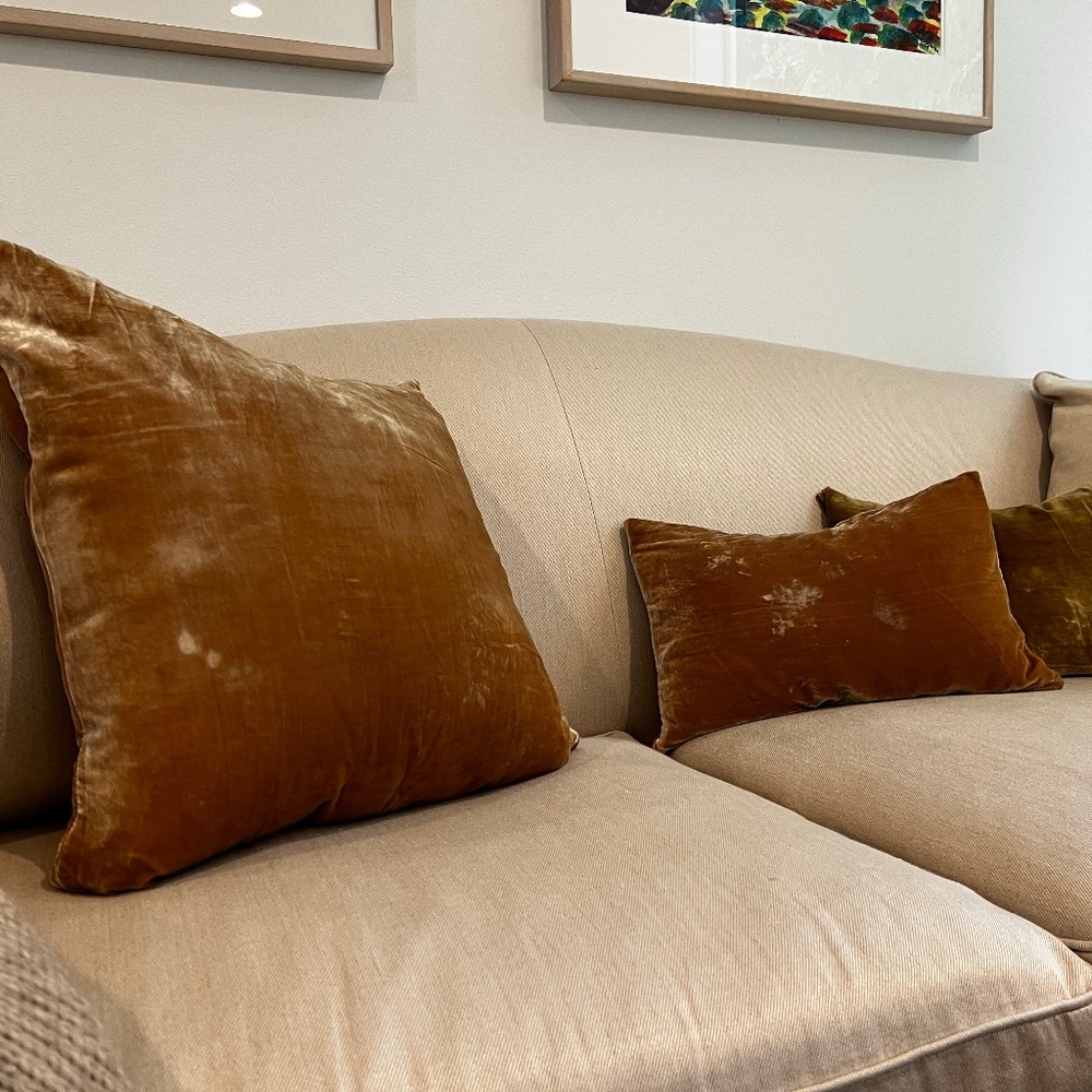 Silk Velvet Pillows from ABC Home